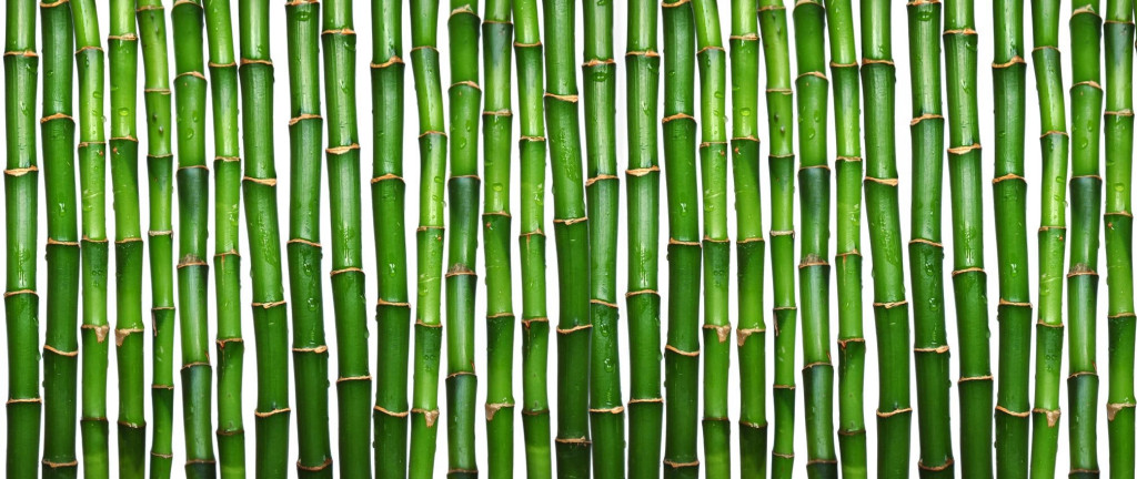 bamboo_texture